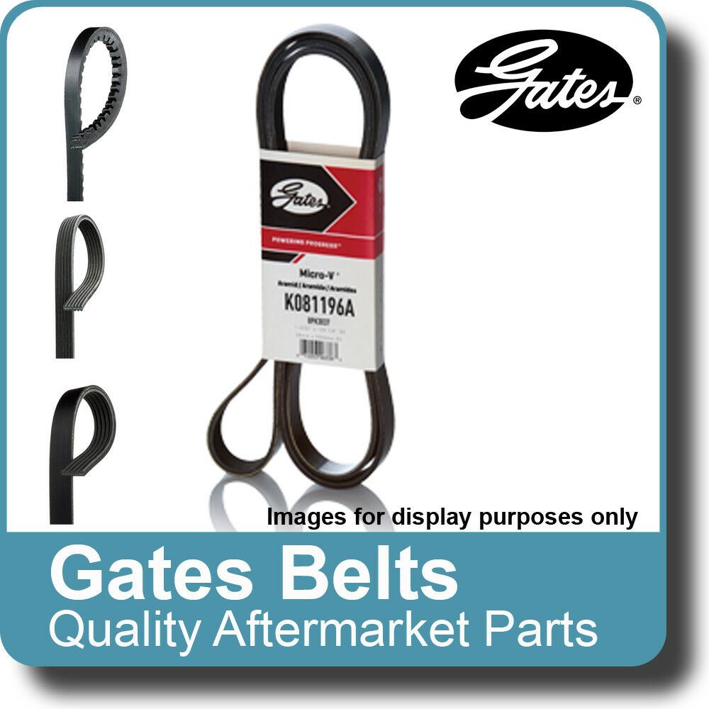 Gates® K070407 - Mro-Vu2122 V-Ribbed Belt