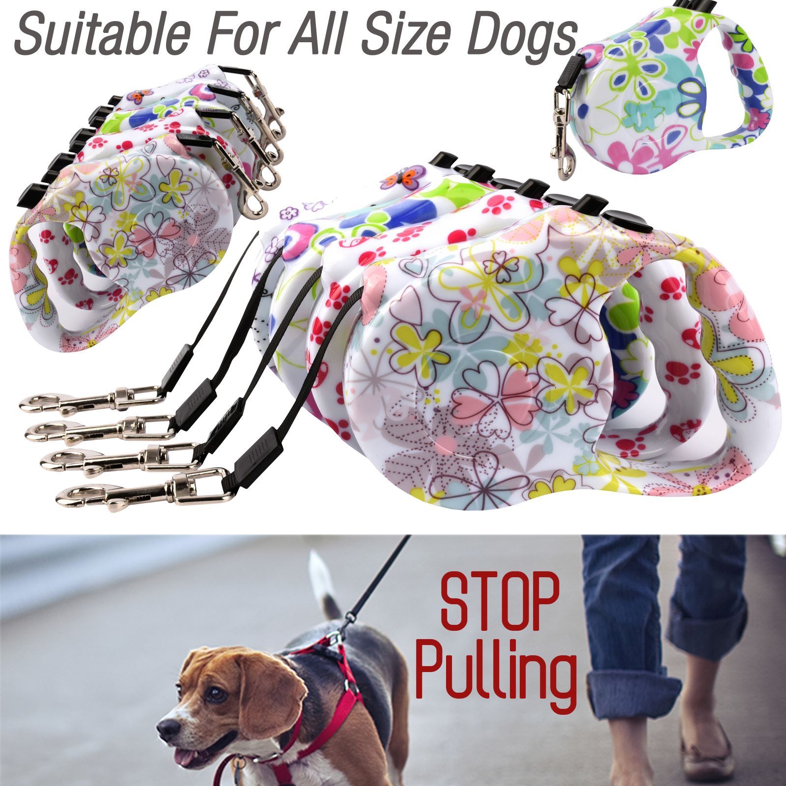 small dog extending leads