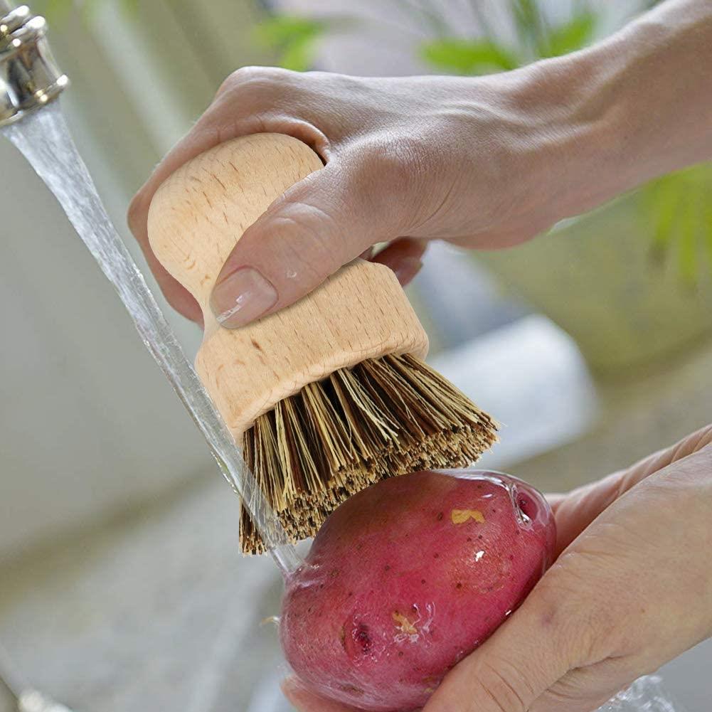 Vegetable Scrubbing Brush, Sisal & Palm, Beechwood, Eco Friendly