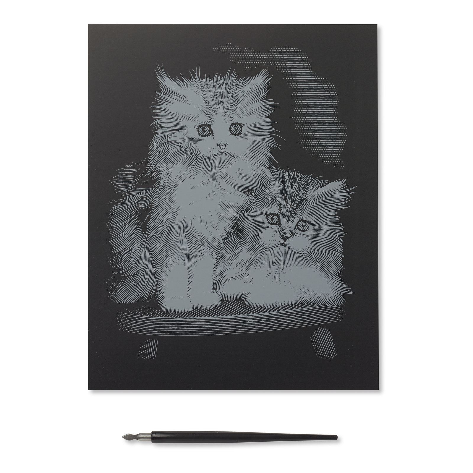 Reeves Rainbow Engraving Art Scraper Foil Kit Medium Squirrel Reeves Rainbow Engraving Art Scraper Foil Kit Medium Squirrel