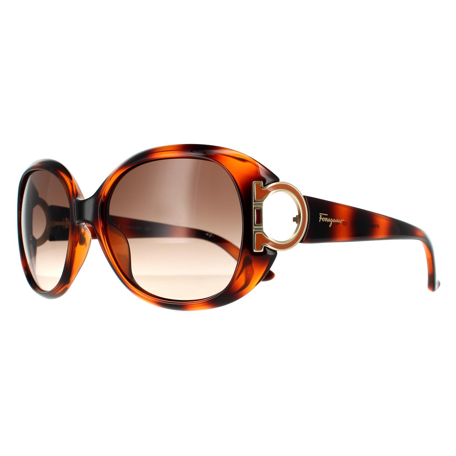Salvatore Ferragamo Sunglasses SF668 238 Tortoise Brown 