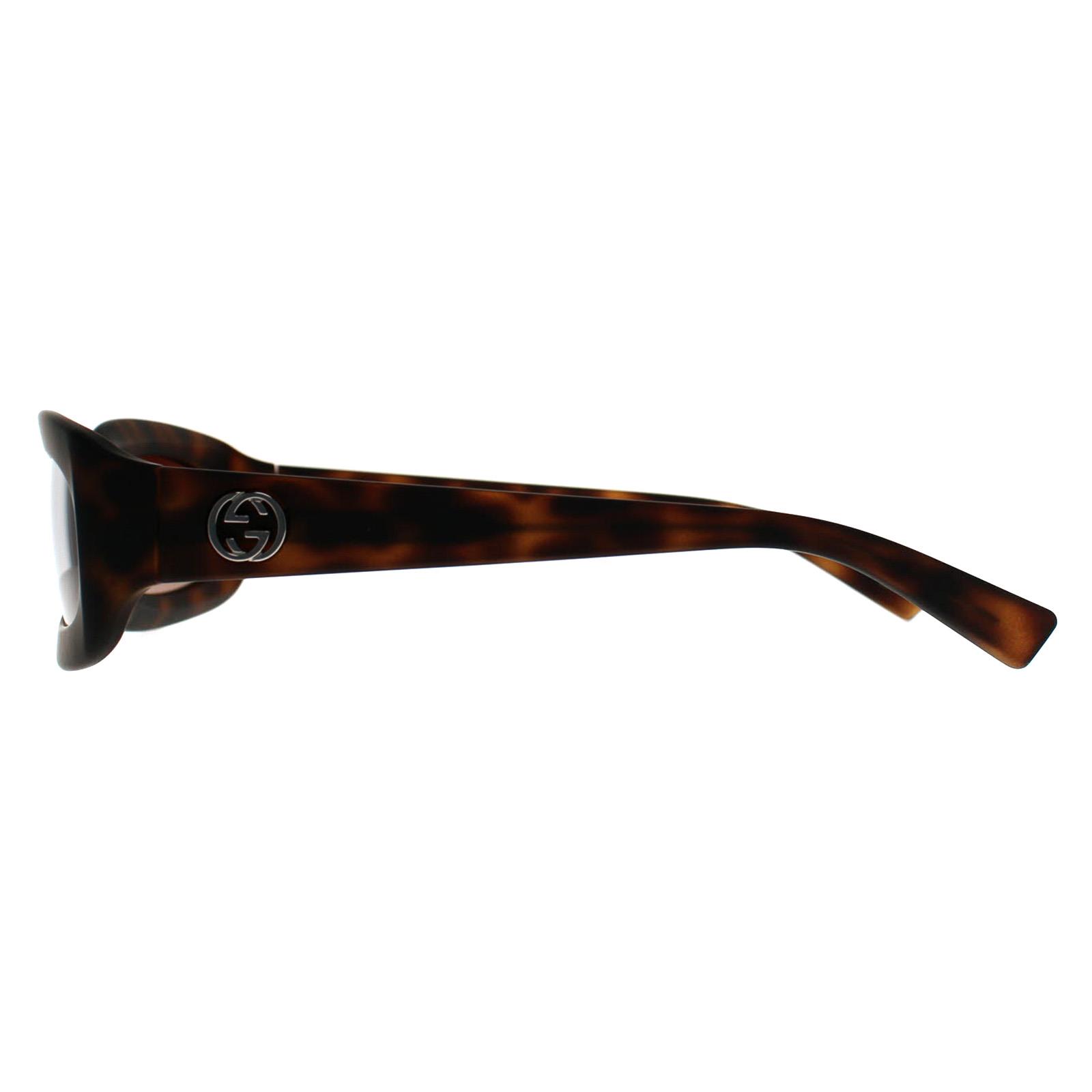 Gucci Sunglasses GG1786S 002 Havana Brown Gradient | eBay display picture 1