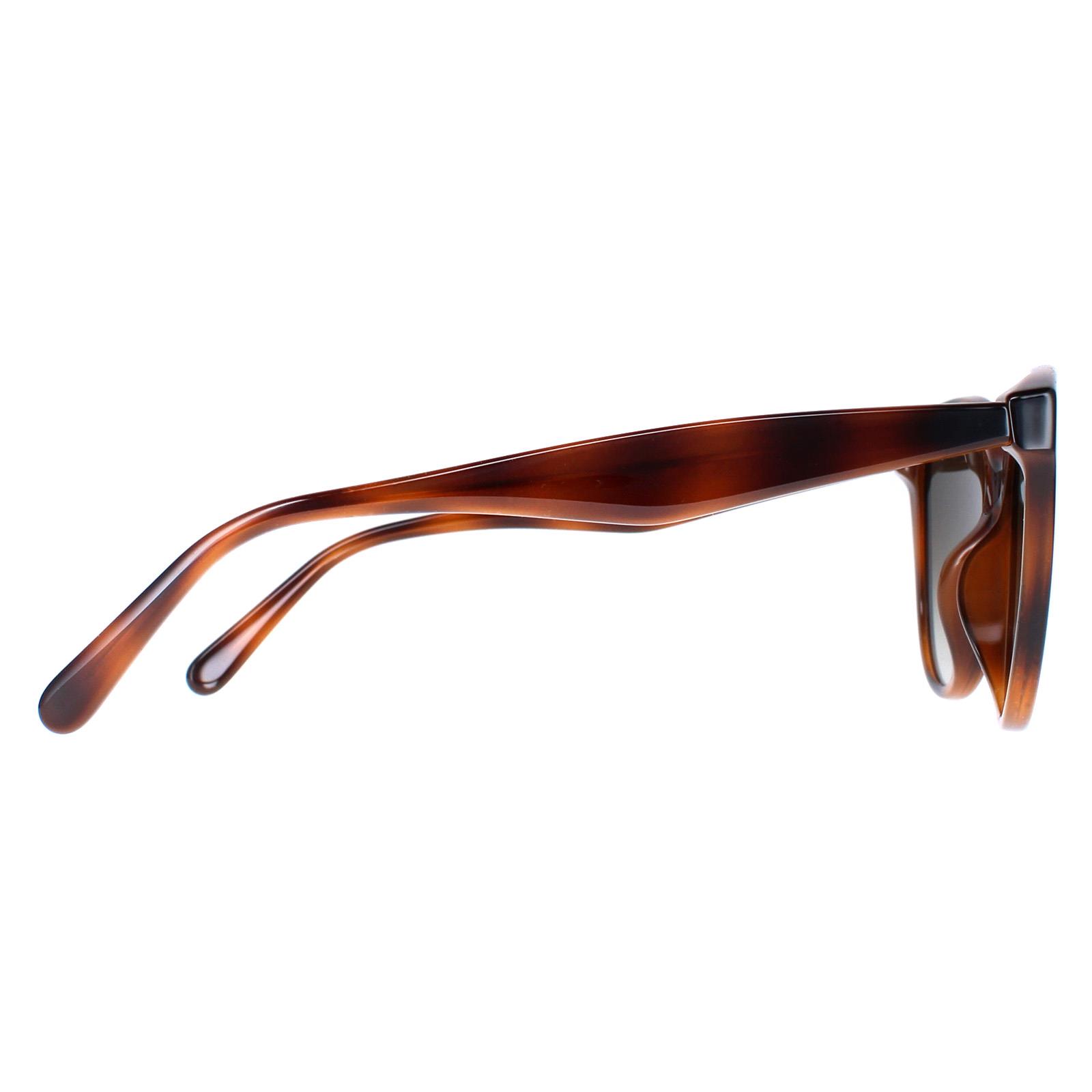 Salvatore Ferragamo Sunglasses SF1073S 240 Tortoise Gray 