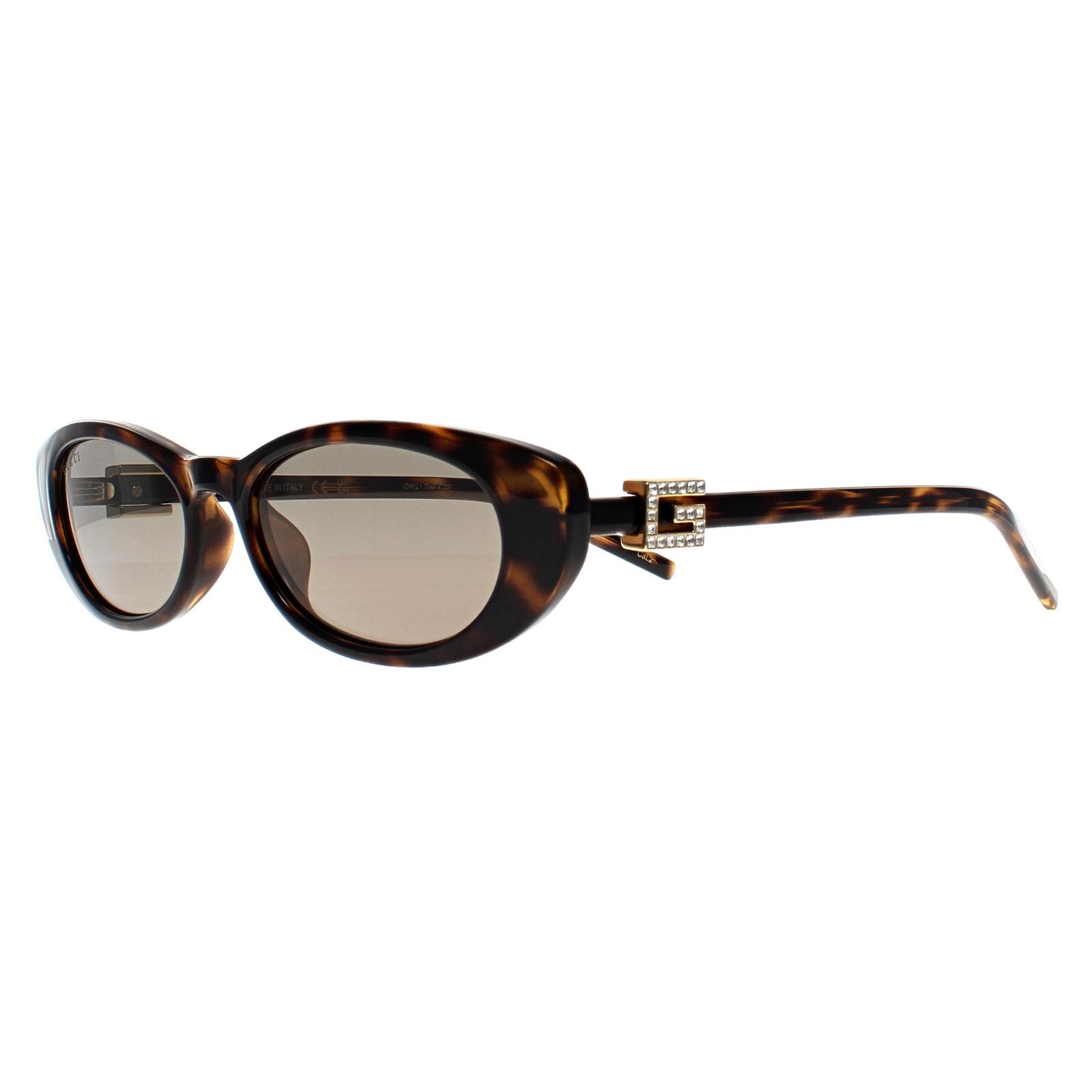 Gucci Sunglasses GG1680S 003 Havana Gray | eBay