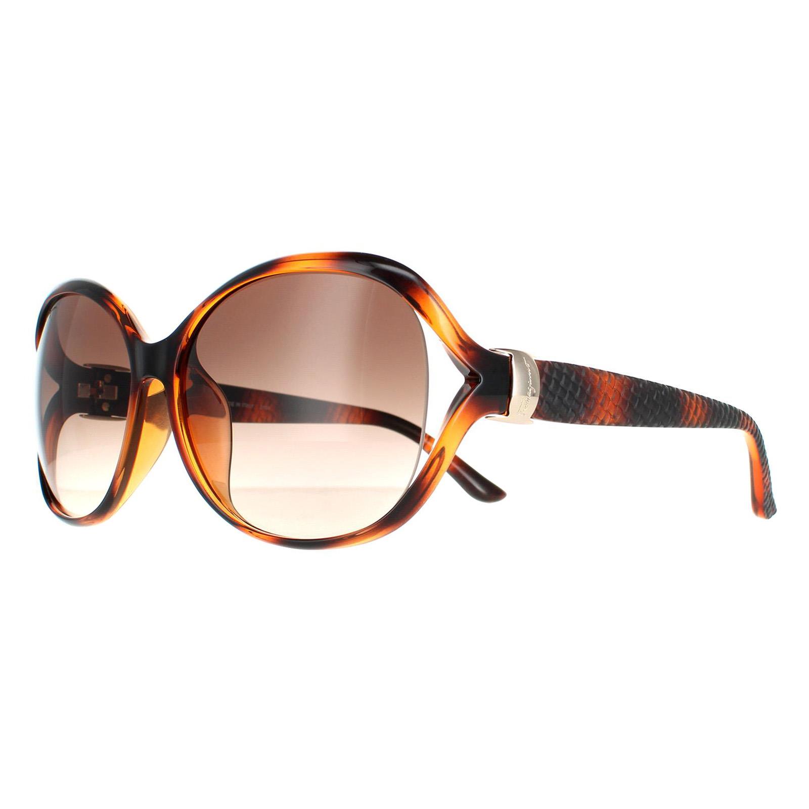 Salvatore Ferragamo Sunglasses SF770SA 214 Tortoise Brown  display picture 2