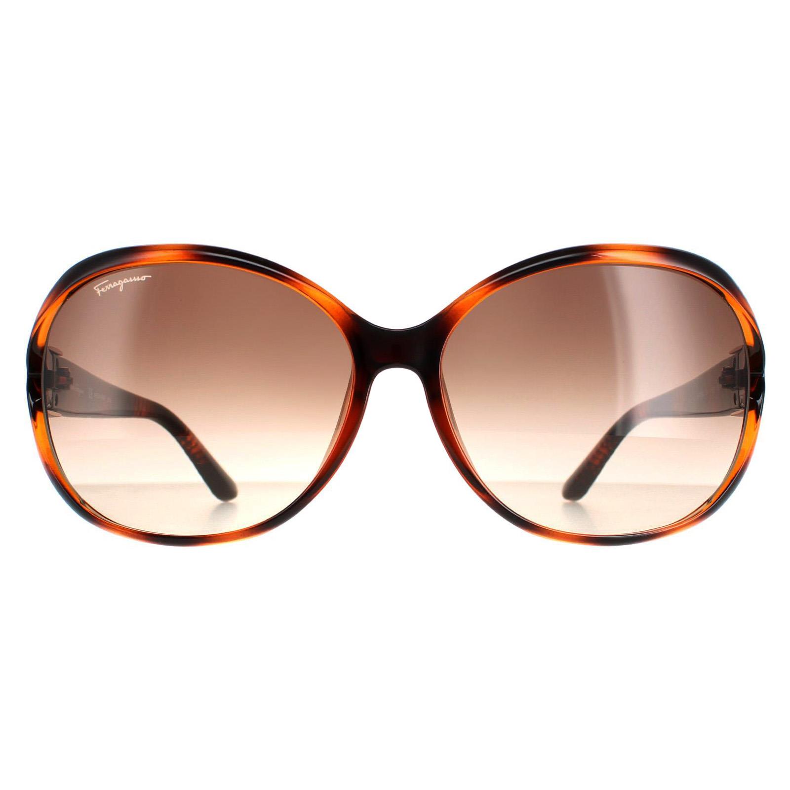 Ferragamo Tortoise Brown Sunglasses Salvatore Ferragamo Women main image 4