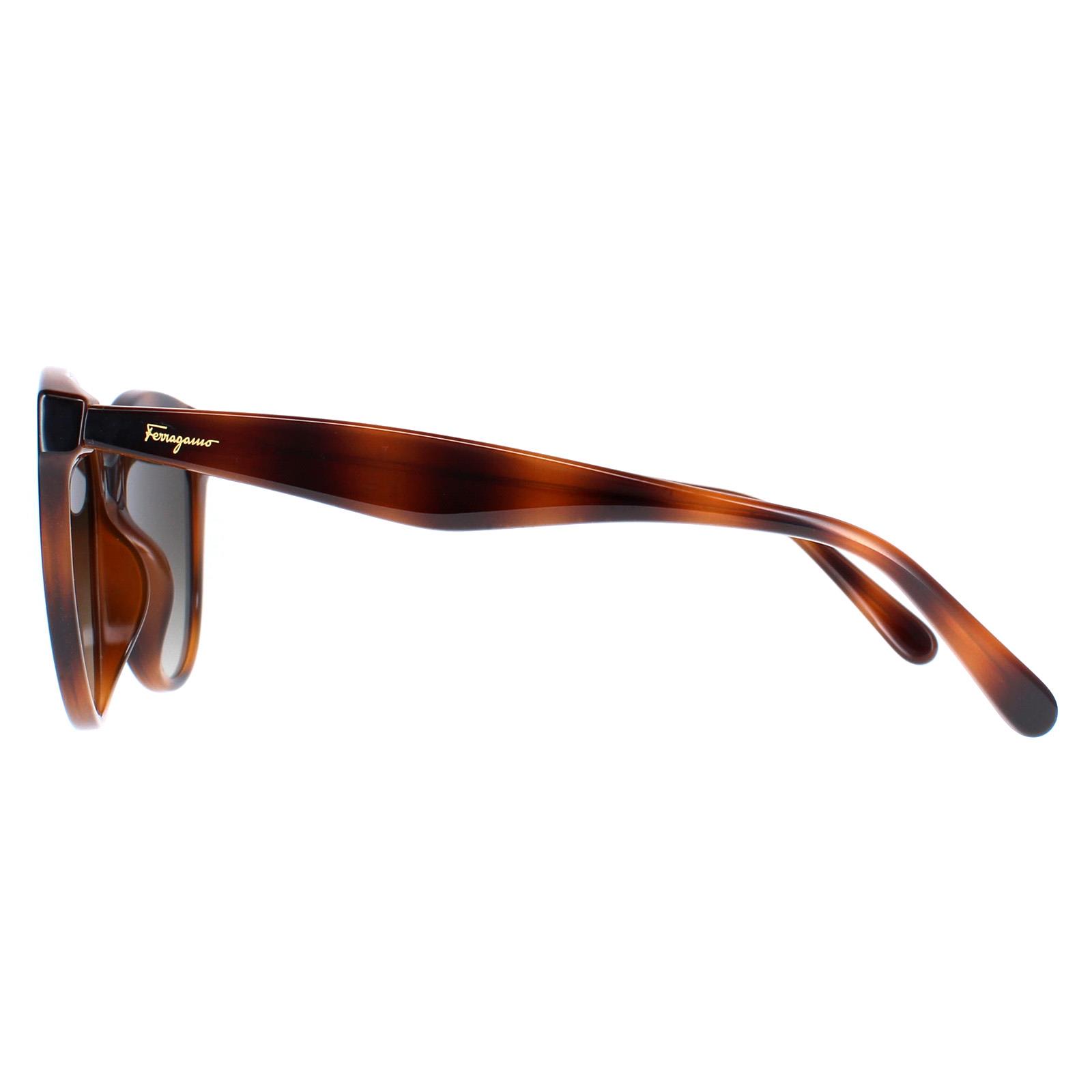 Salvatore Ferragamo Sunglasses SF1073S 240 Brown Tortoise Size 54-17-140 Salvatore Ferragamo Sunglasses SF1073S 240 Tortoise Gray  main image 3