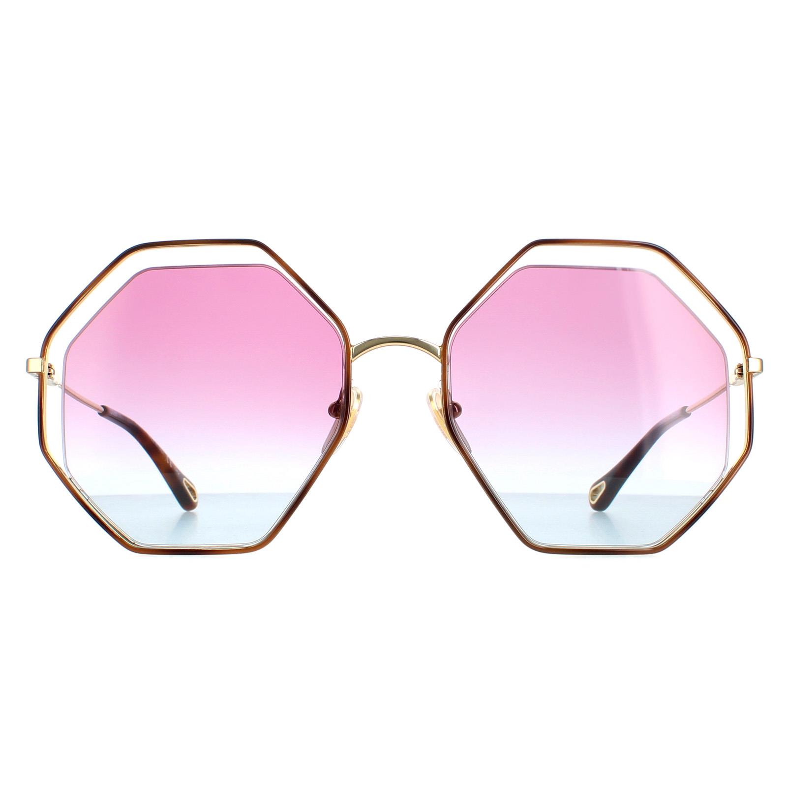 Chloe Sunglasses CH0046S 003 Havana Gold Violet Blue