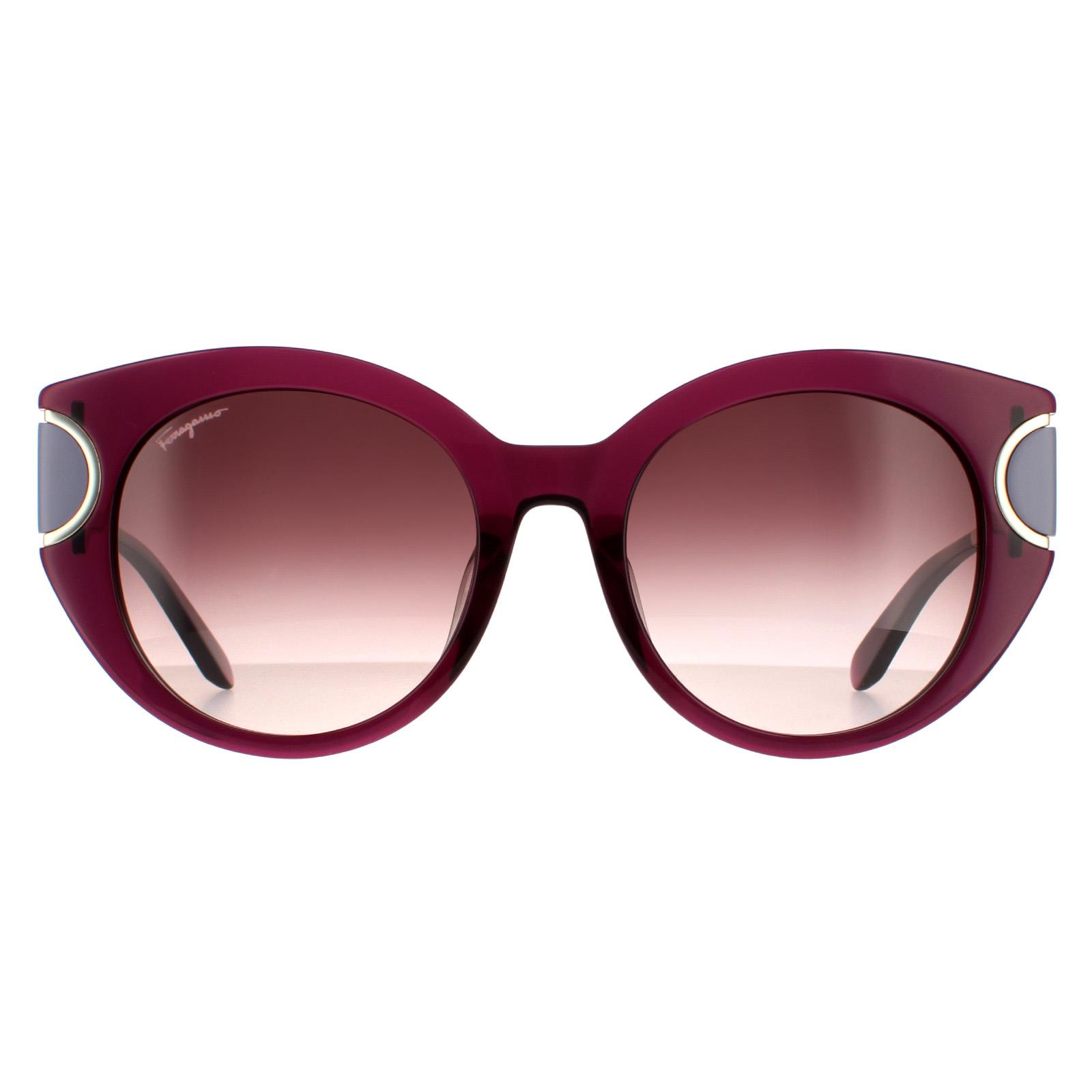 Salvatore Ferragamo サルヴァトーレ フェラガモ SF840SA-500 Salvatore Ferragamo Sunglasses SF840SA 500 Violet Brown Wine
