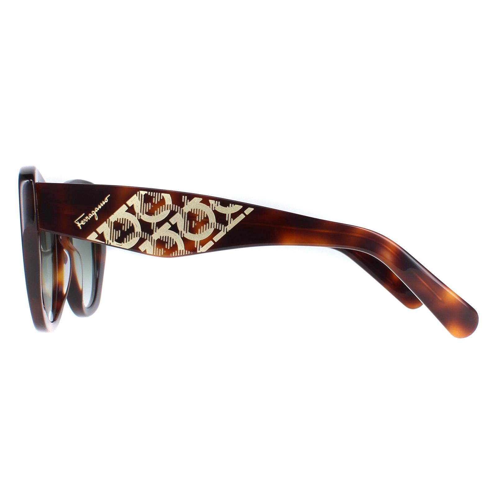 Salvatore Ferragamo Sunglasses SF1022S 214 Tortoise Gray  display picture 2