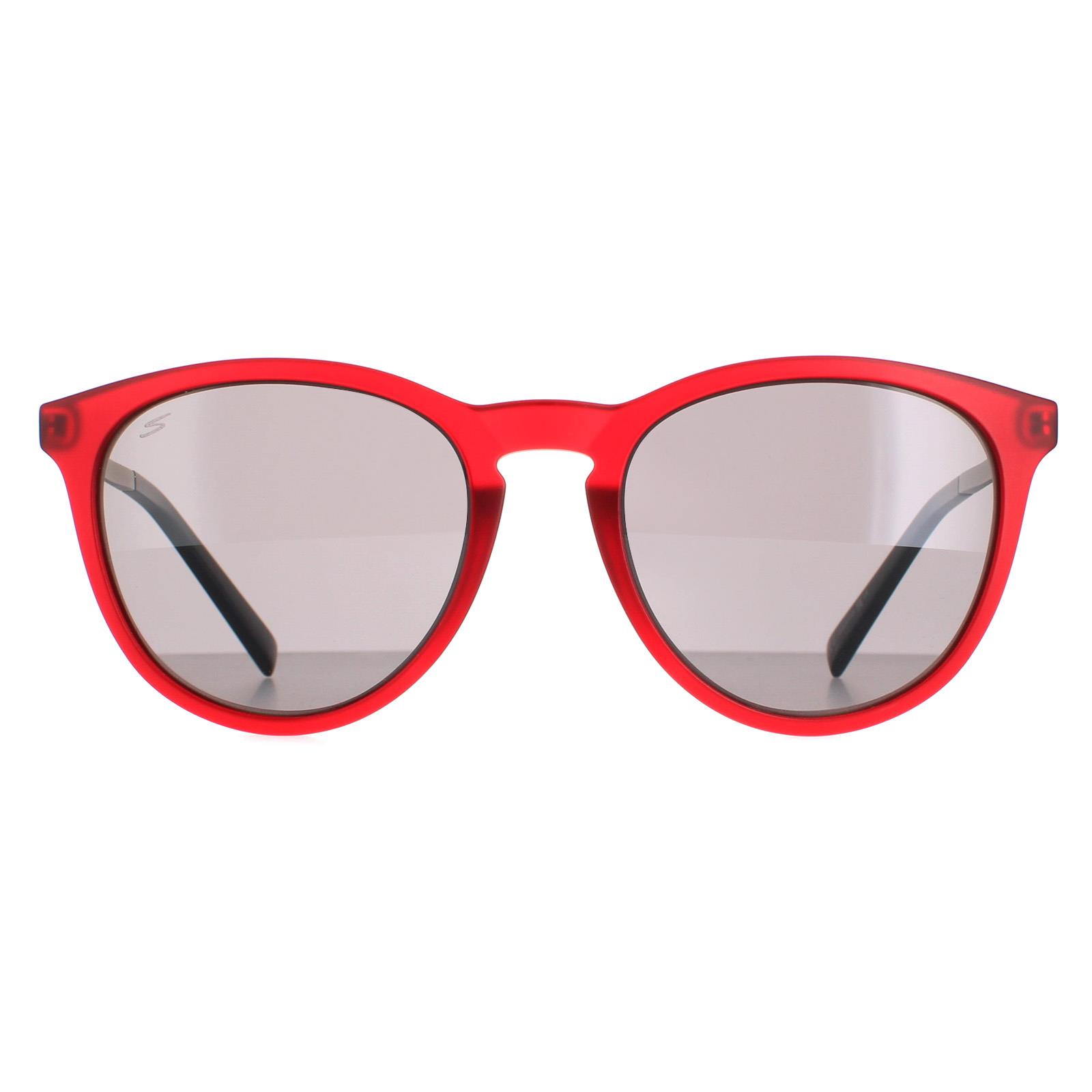 サングラス SERENGETI Serengeti - BRAWLEY - ss556003 (BRAWLEY SS556003) Serengeti Sunglasses Brawley SS556003 Matte Crystal Pink