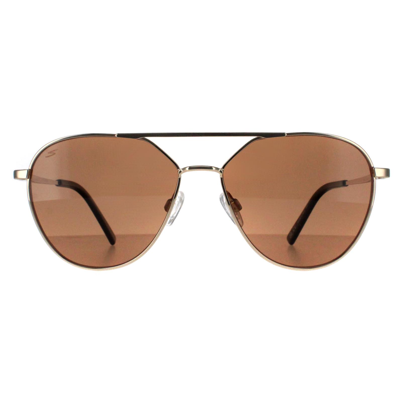 Serengeti Sunglasses Odell SS555001 Shiny Light Gold Saturn