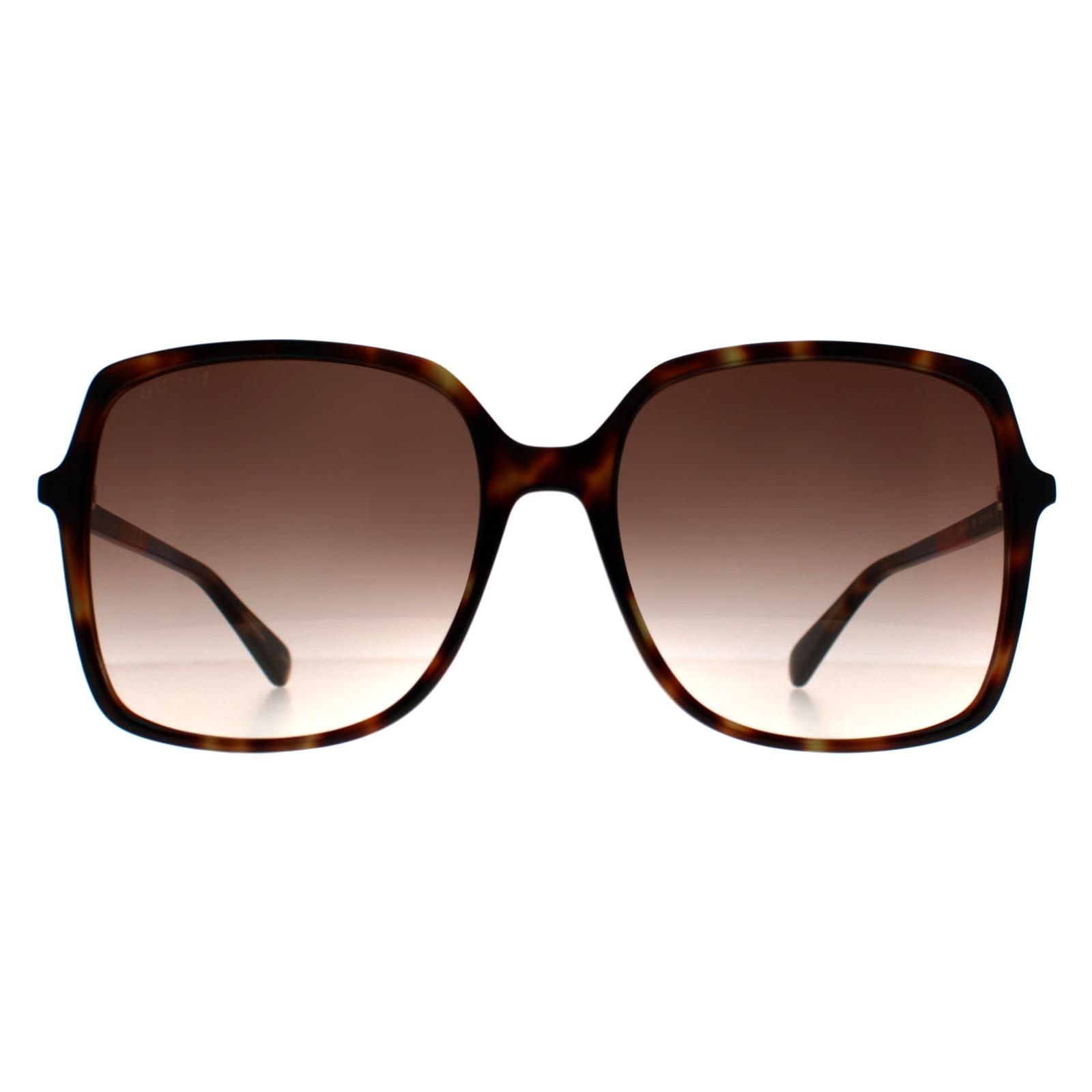 Gucci GG0544s 003 Women\'s Dark Brown Frame Sunglasses with Blue Gradient Lenses Gucci GG0101S 003 Sunglasses Brown Gradient Lens Women main image 2