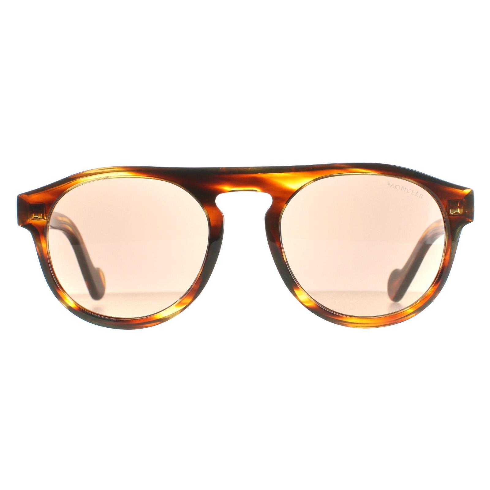 Moncler Sunglasses ML0073 50E Dark Brown Brown | eBay