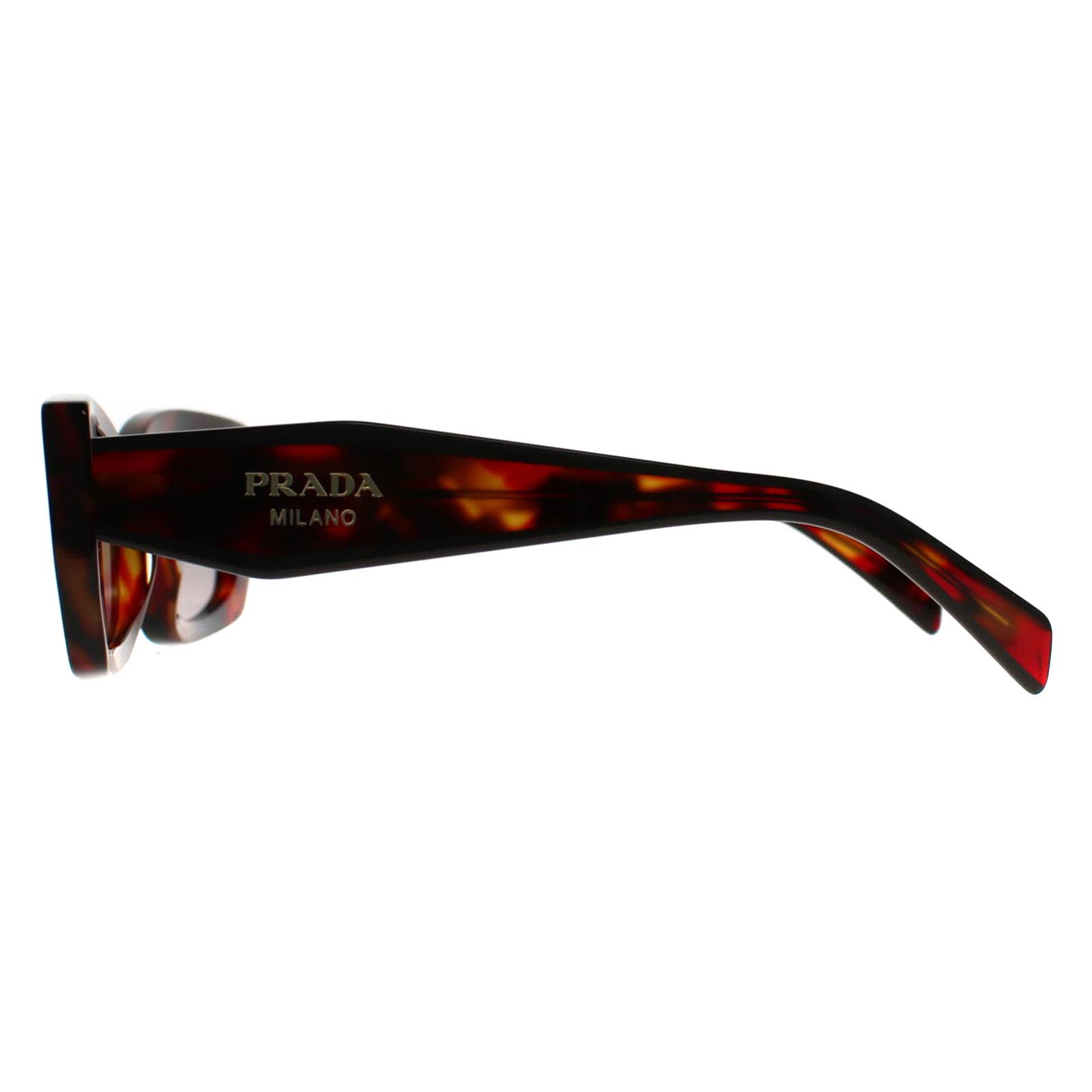 Prada PRB05S 22A20I Sunglasses Poppy Havana Rectangle Frame Prada PRB05S 22A20I - Poppy Tortoise • Find prices » main image 4