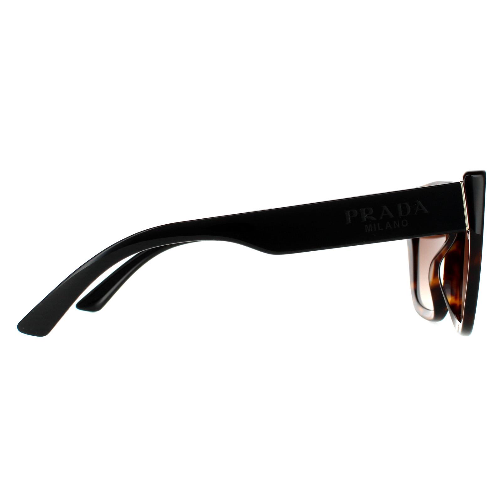 小物 PRADA Polarized Sunglasses Havana 56 Prada Sunglasses PR24XS 2AU6S1 Havana Brown Gradient | eBay