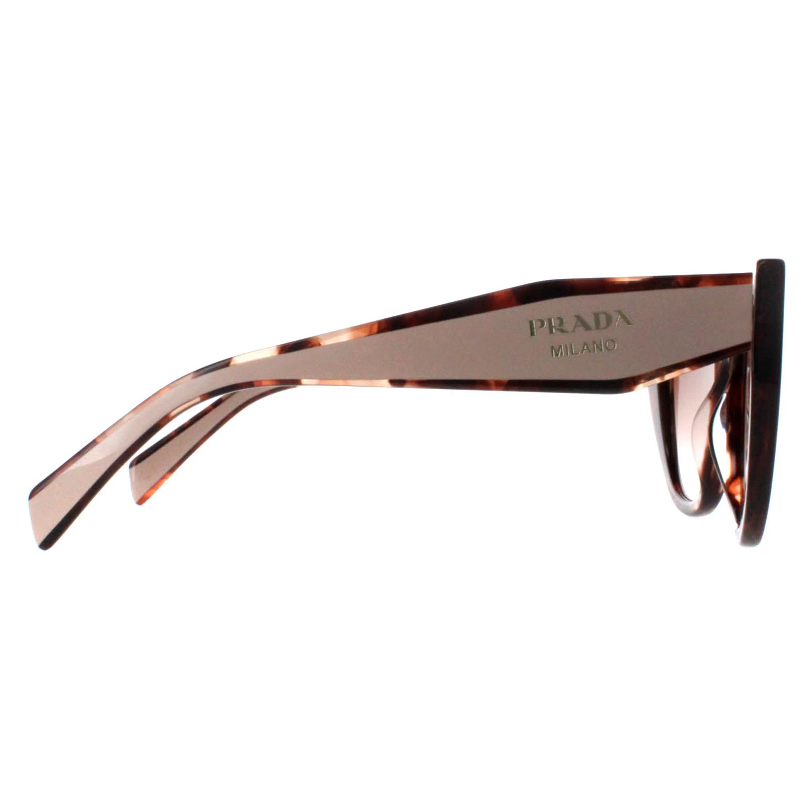 Prada Sunglasses PR14WS 01R0A6 Caramel Tortoise and Powder 