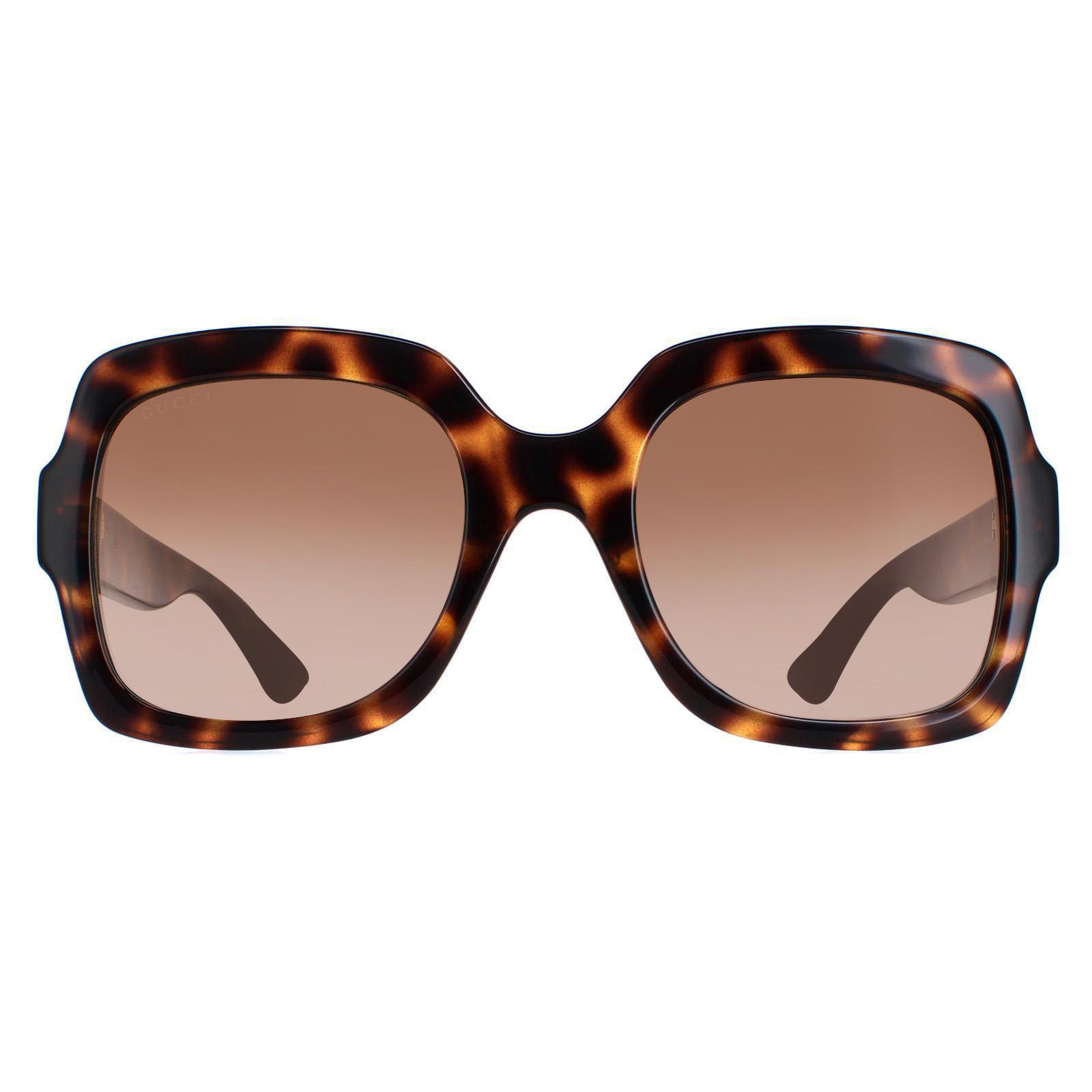 Gucci Sunglasses GG1337S 003 Havana Brown Gradient | eBay