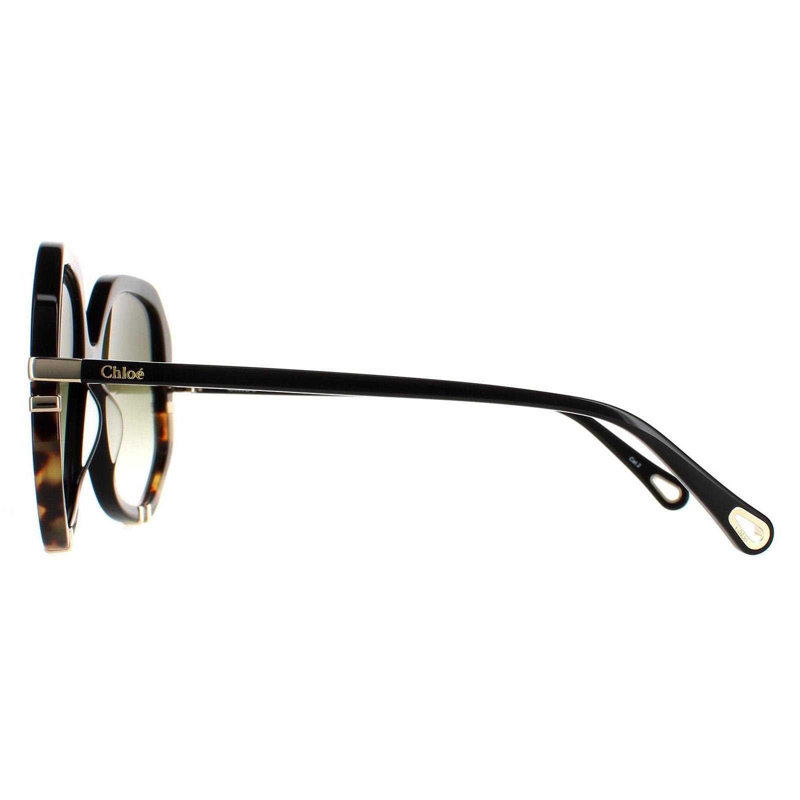 Chloe Sunglasses CH0105S 002 Shiny Black and Tortoise Green