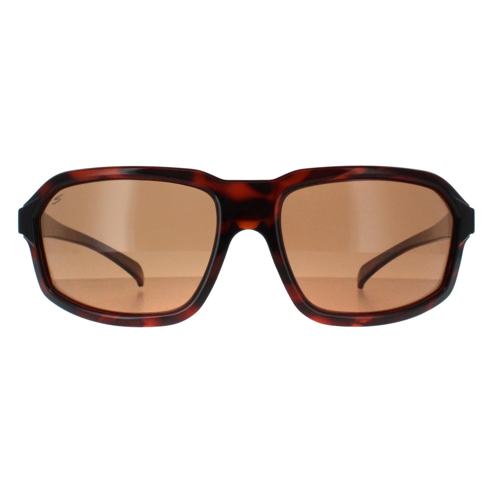 Serengeti Sunglasses Hext SS571004 Shiny Tortoise Saturn Drivers