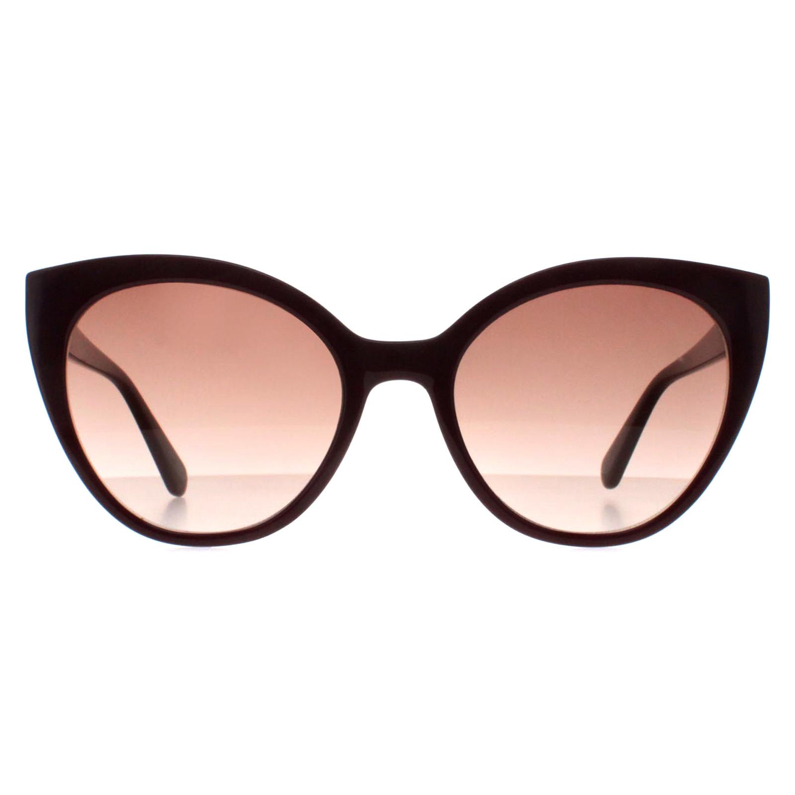 Kate Spade New York AMYA Gradient Lens Sunglasses For Women\'s Kate Spade SUN-AMAYA-0XLT Cat Eye Sunglasses Tortoise Beige  main image 2