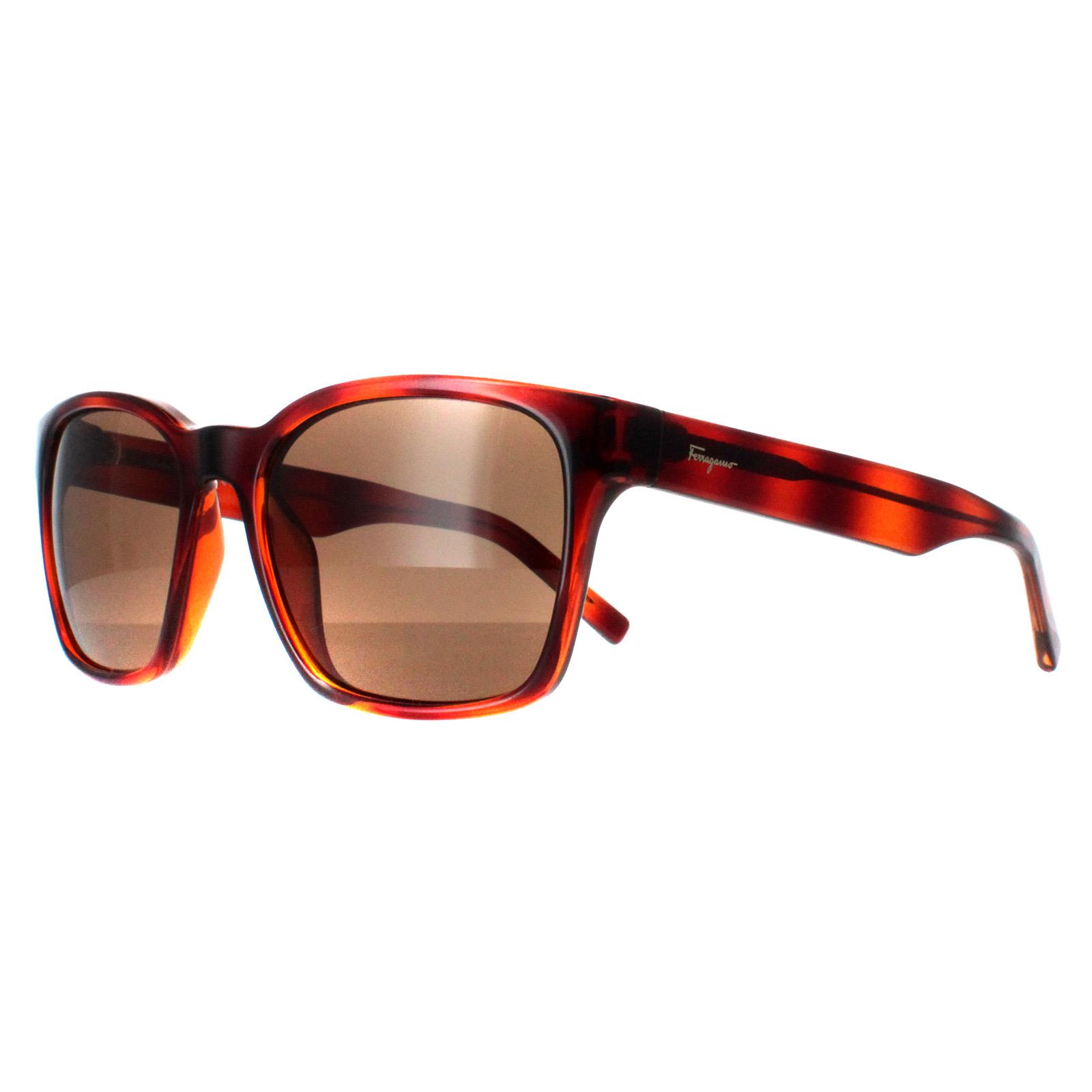 Salvatore Ferragamo Sunglasses SF959S 214 Tortoise Brown | eBay display picture 1