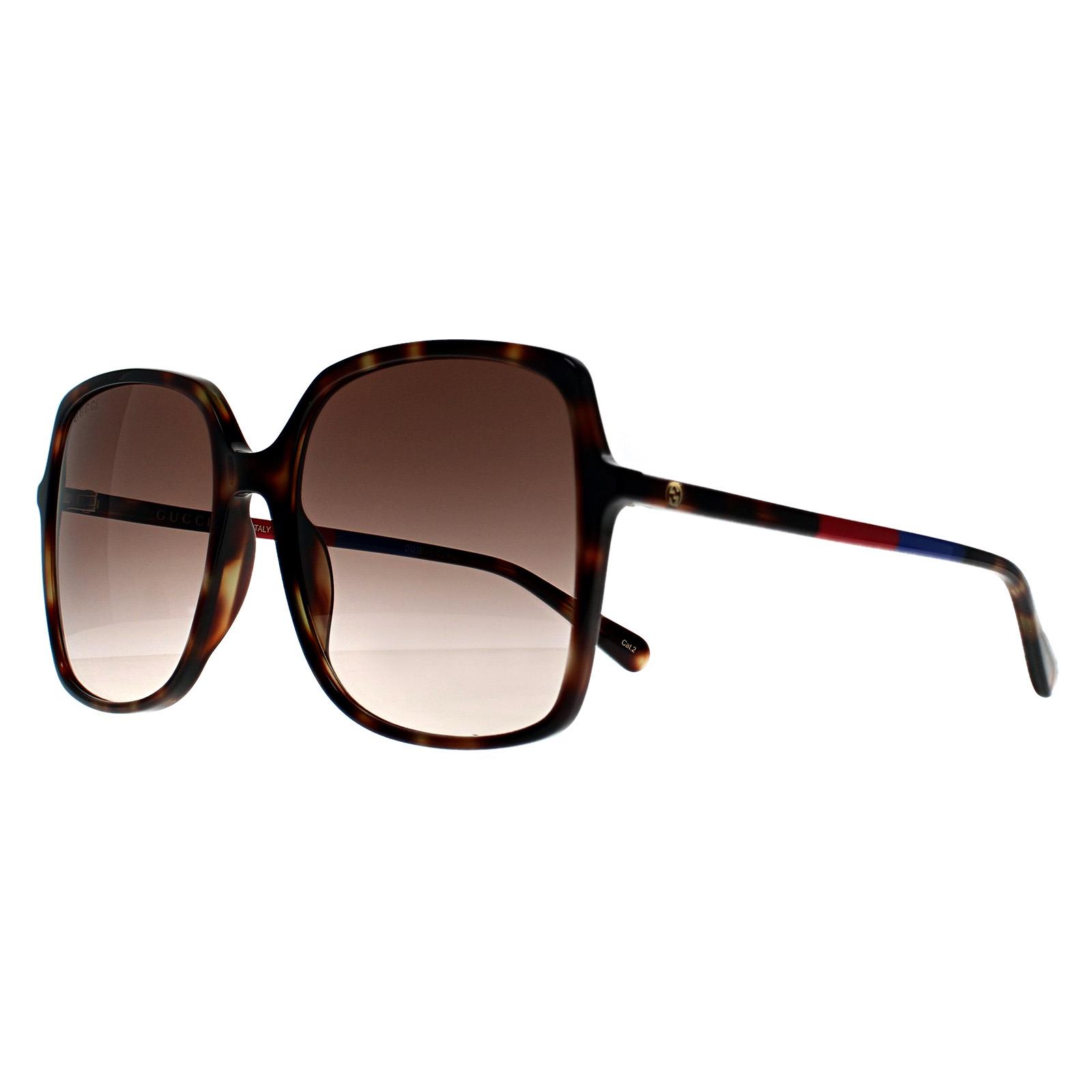 Gucci Sunglasses GG0544S 008 Havana Brown Gradient | eBay