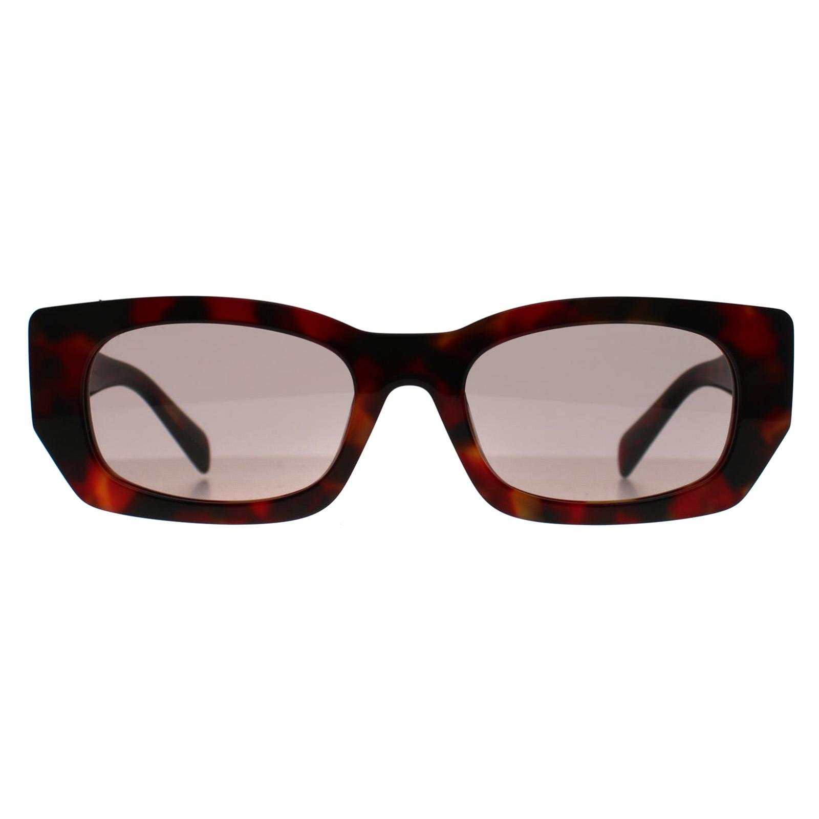 Prada PRB05S 22A20I Rectangle Sunglasses – Poppy Havana/Purple Brown PR B05S Prada Sunglasses 22A20I Poppy Tortoise - eye-oo.com main image 2