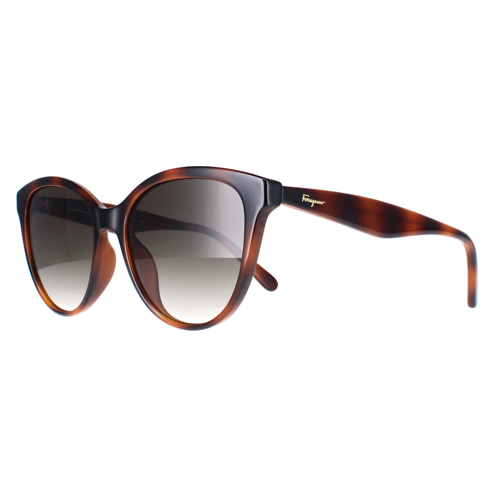 Salvatore Ferragamo SF1073S 240 Grey Gradient Cat-Eye Sunglasses 54-17-140 NWT Salvatore Ferragamo Sunglasses SF1073S 240 Tortoise Gray  main image 3