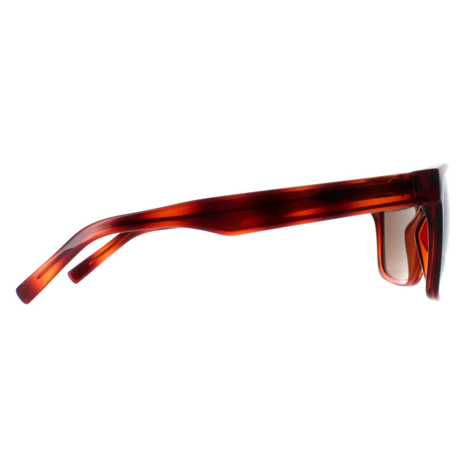Salvatore Ferragamo Sunglasses SF959S 214 Tortoise Brown | eBay display picture 1