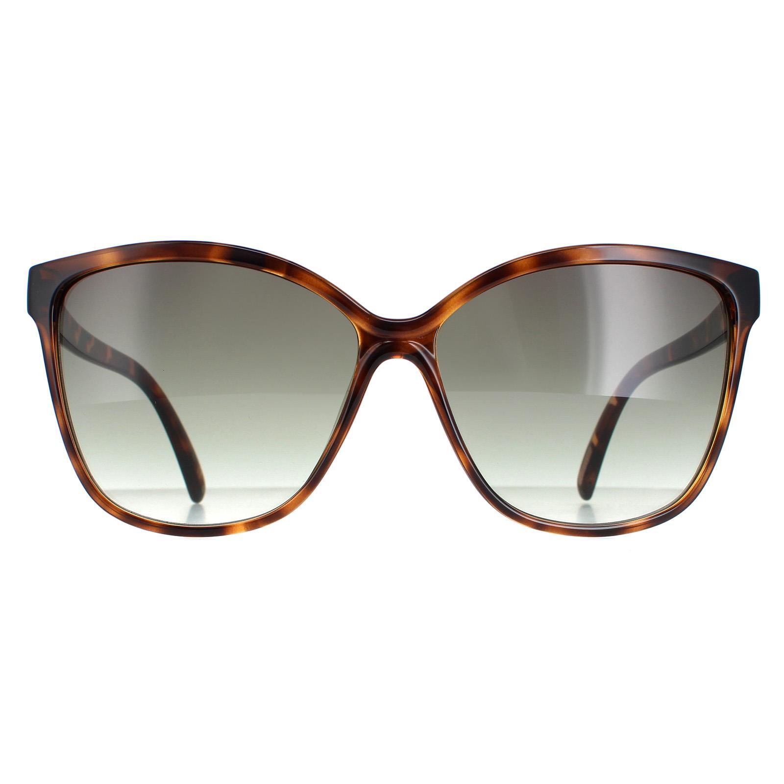 Ted Baker TB1400 Kiara 122 schildpattbraune Sonnenbrille mit 