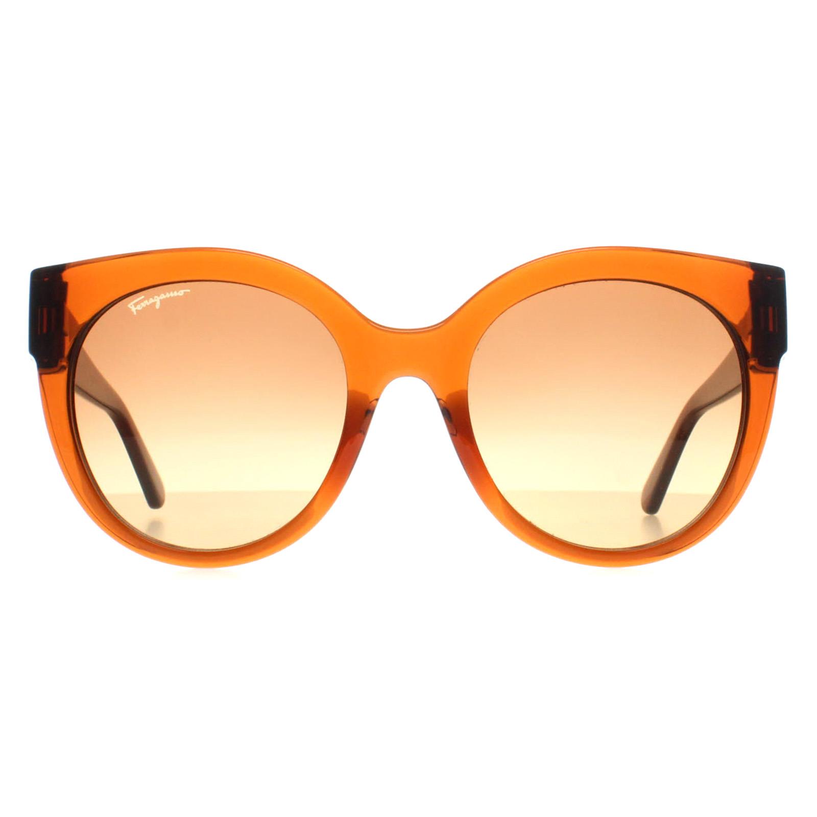 Salvatore Ferragamo SF1031S Sunglasses SF1031S Eyeglasses Frames by Salvatore Ferragamo main image 3