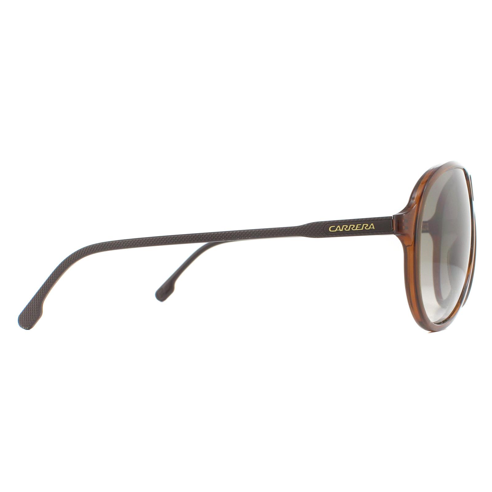 Carrera Sunglasses 237/S 09Q HA Brown Brown Gradient 716736298047 eBay