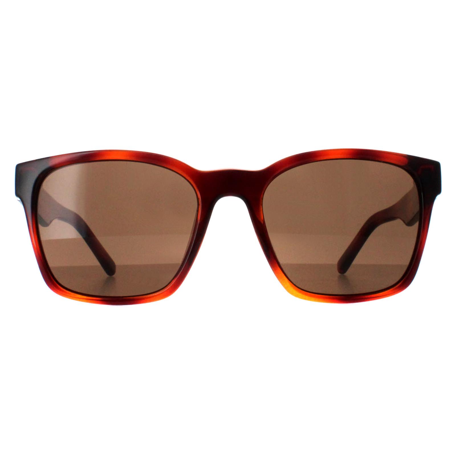 Salvatore Ferragamo Sunglasses SF959S 214 Tortoise Brown Amazon.com: SALVATORE FERRAGAMO Rectangle Sunglasses SF959S  main image 3