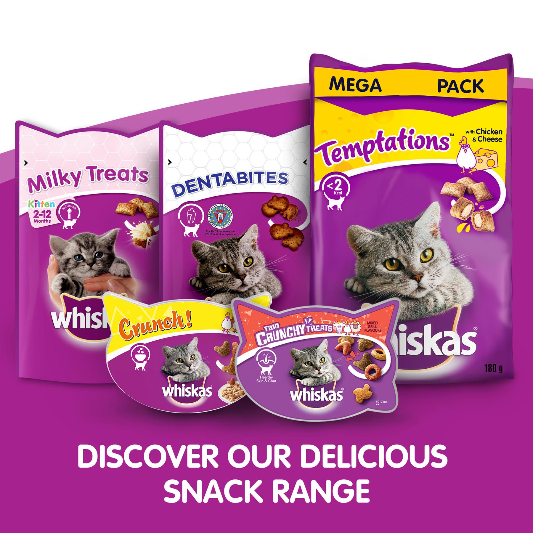 8 x 60g Whiskas Temptations Adult Cat Treats with Salmon Cat Biscuits