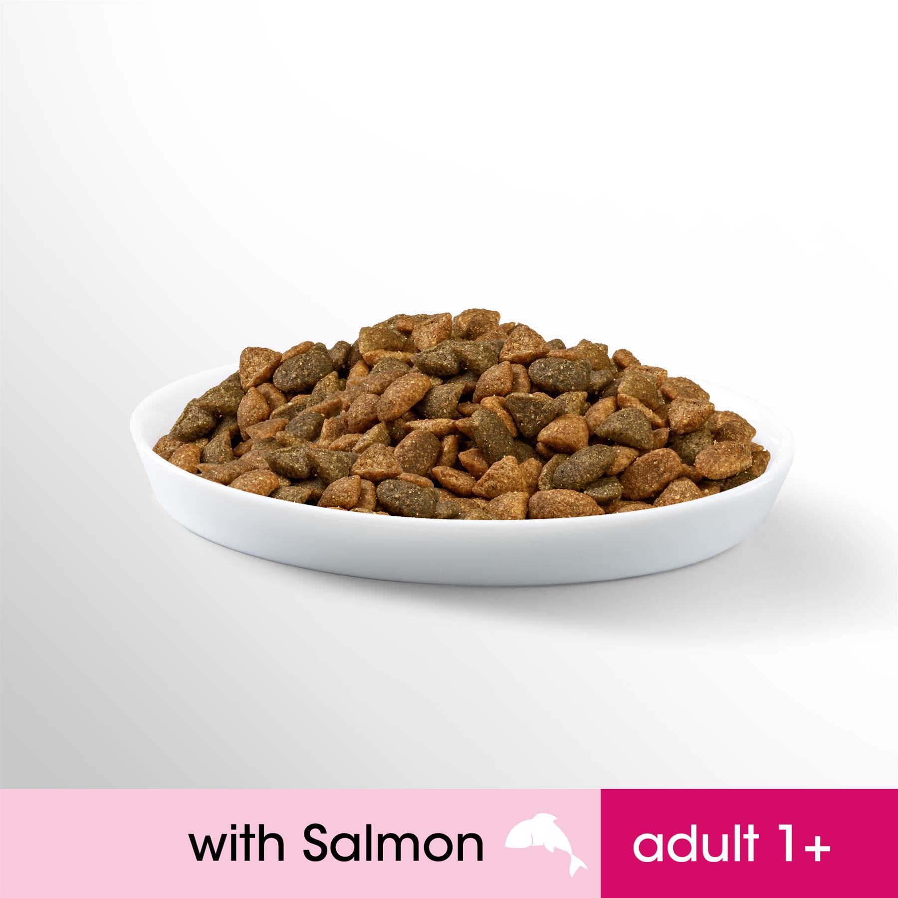 perfect fit senior dog food