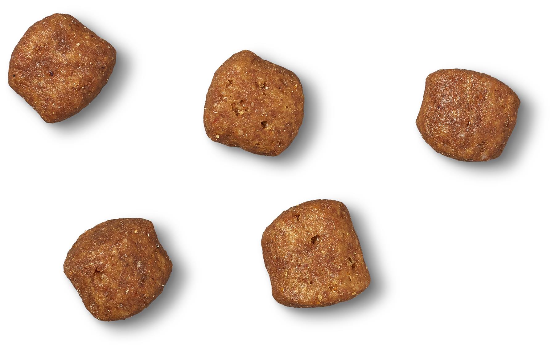 1.5kg James Wellbeloved Oral Health Adult Dry Cat Food Biscuits Turkey