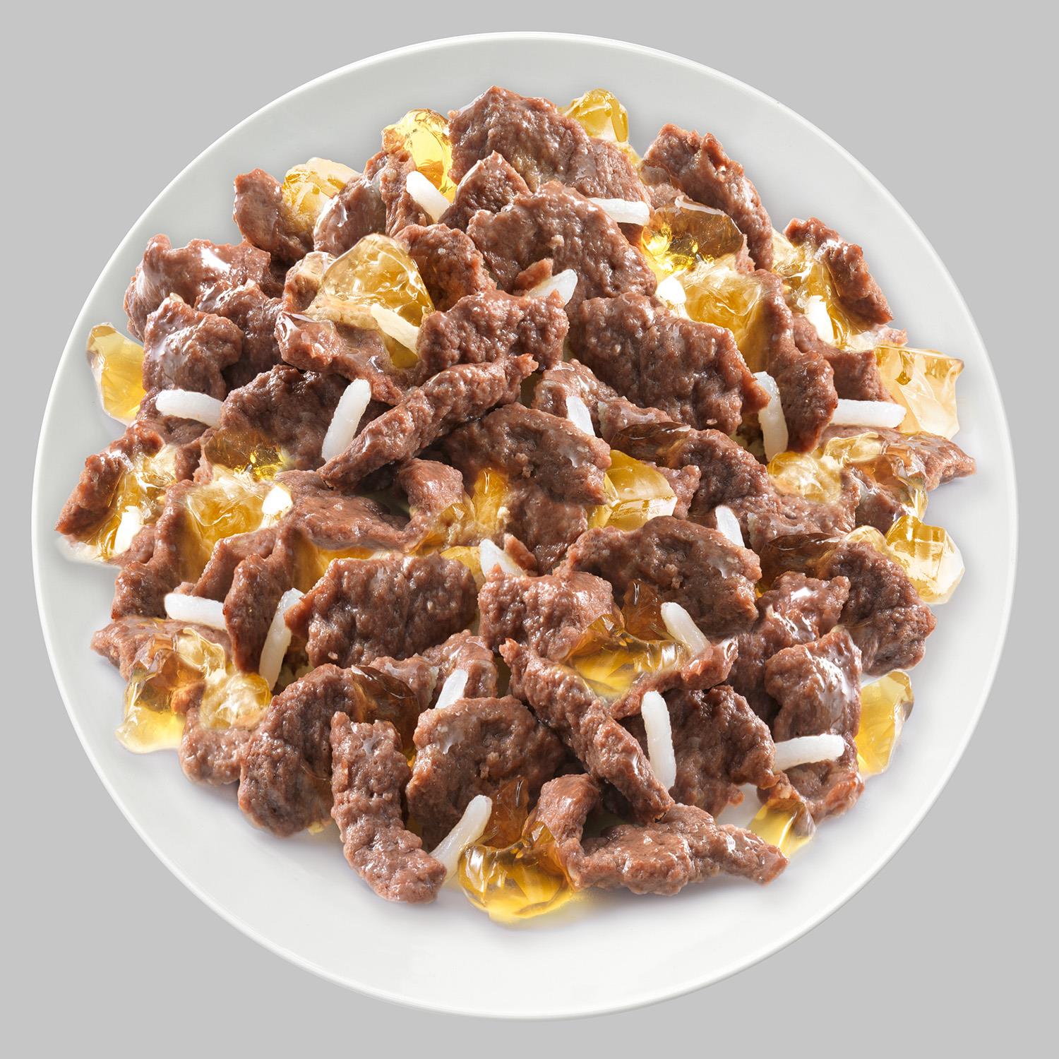 96 x 100g Cesar Luxury Senior 10+ Wet Dog Food Pouches Mixed Selection