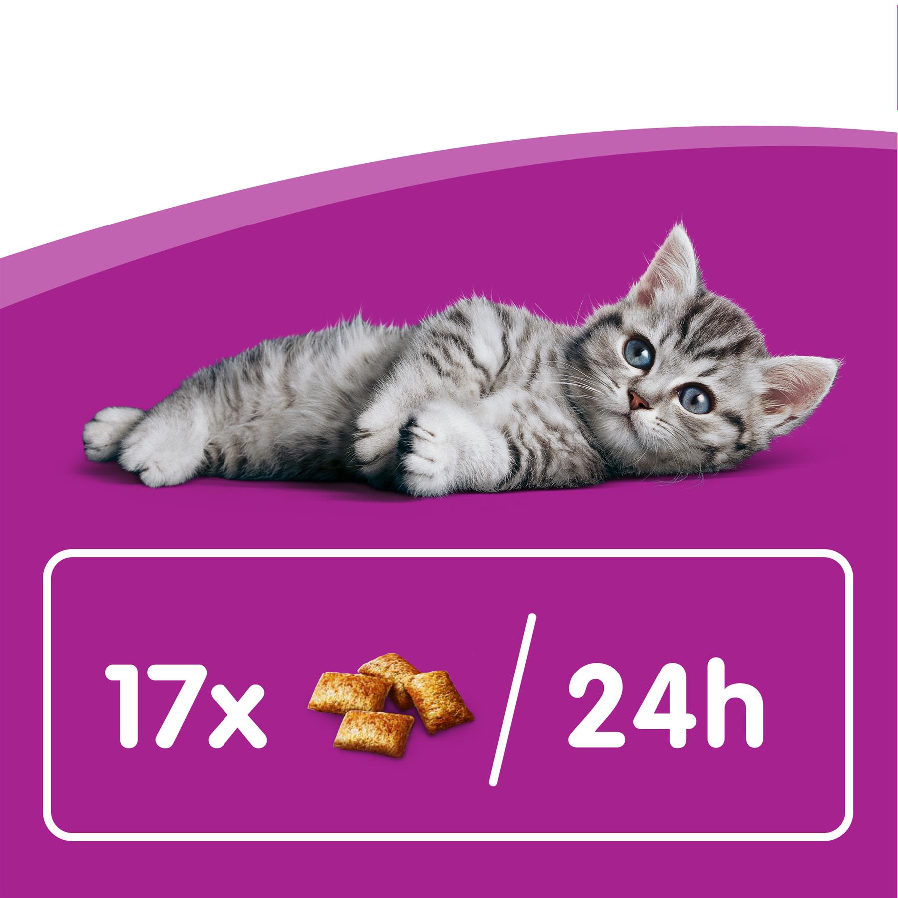 8 x 55g Whiskas Kitten 212 Months Milky Kitten Treats Cat Biscuits