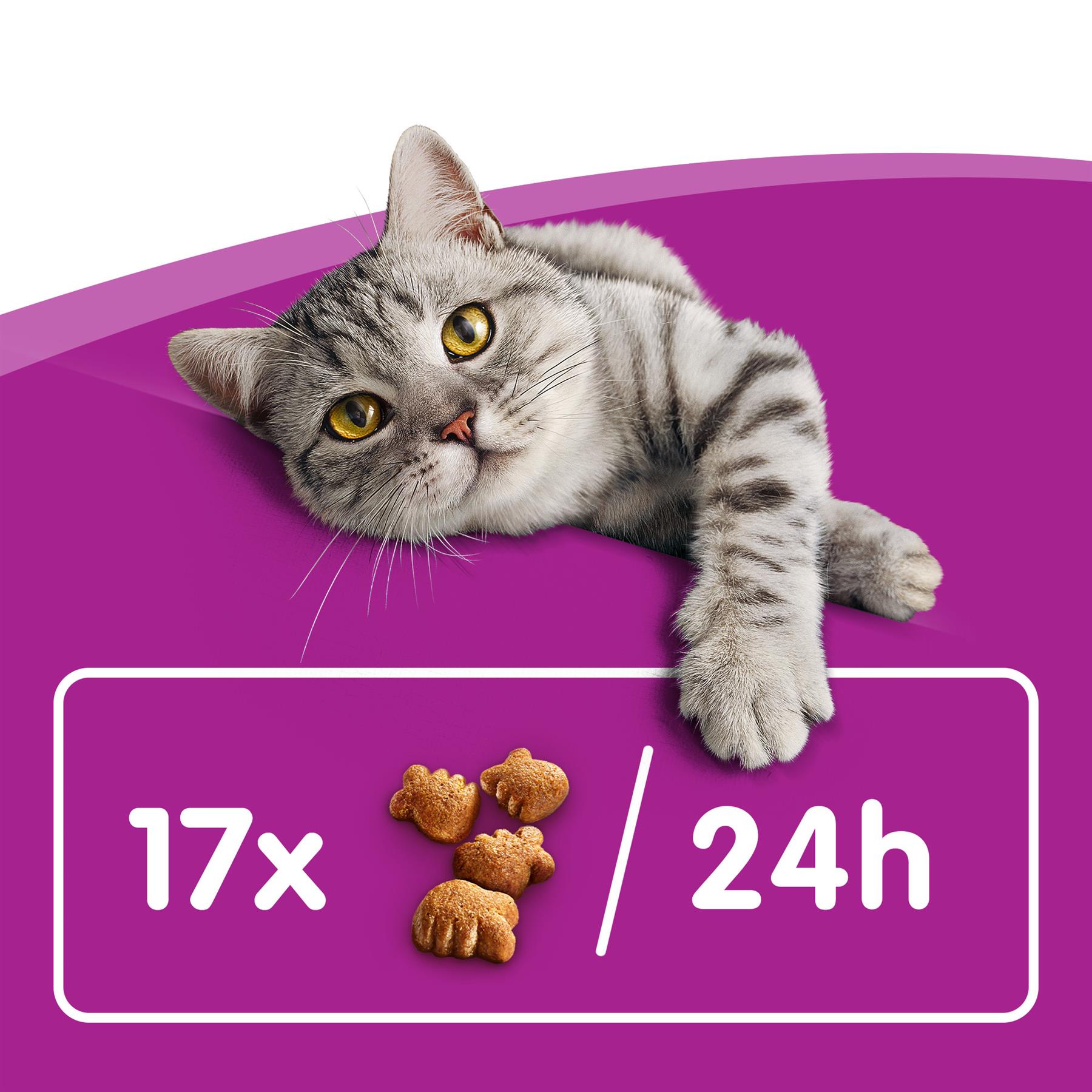8 x 50g Whiskas Dentabites Dental Cat Treats with Chicken Cat Biscuits