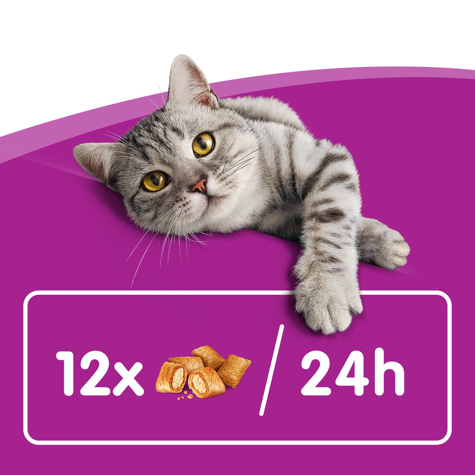 4 x 180g Whiskas Temptations Adult Cat Treats with Chicken & Cheese eBay