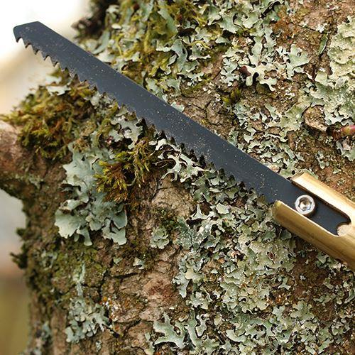 Gardner Bank Saw - Picture 12 of 16