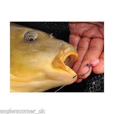 Korda Fake Food Plastic Baits Pop-Up Slow Sinking Full Range