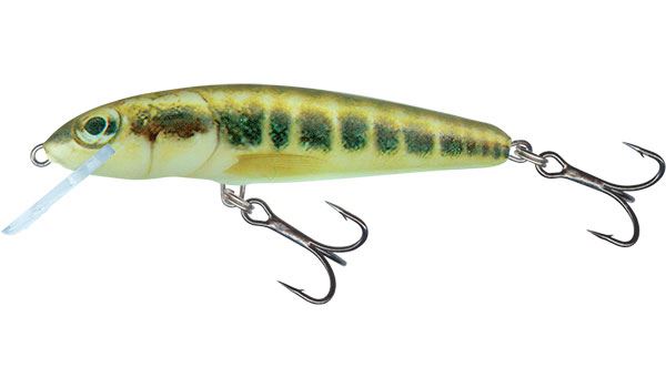 Salmo Minnow Sinking Crankbait 5cm