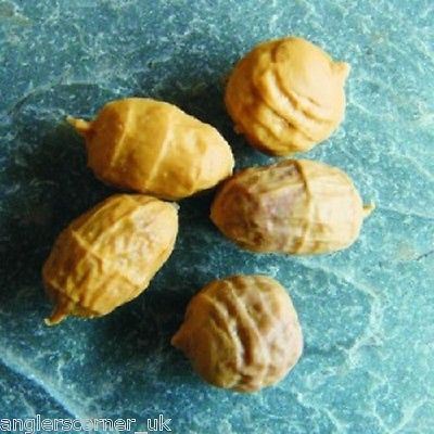 Enterprise Tackle / Imitation Baits Pellet, Maize, Peanut, Tiger Nut