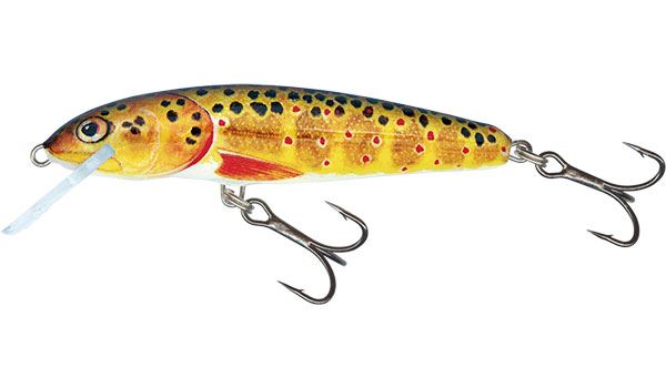 Salmo Minnow Floating Crankbait 6 & 7cm