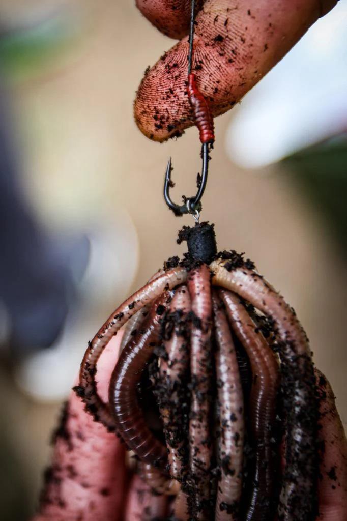 One More Cast Dazzlers Bloodliners Aligner