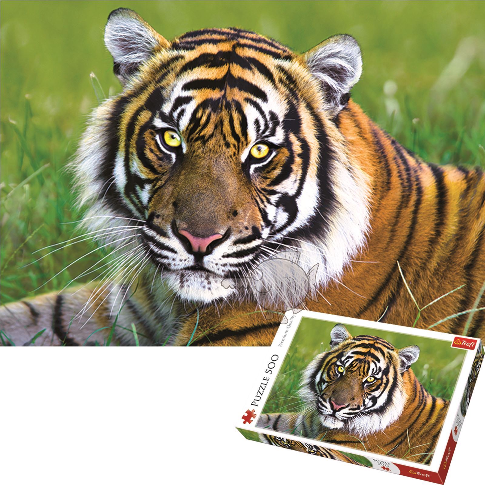 Tiger каталог. Tiger каталог. Tiger каталог. Футболка тигрёнок. Тайгер толстовка.