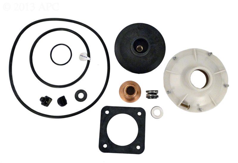 Pentair PP1017 Overhaul Replacement Kit StaRite Pool and Spa Pump