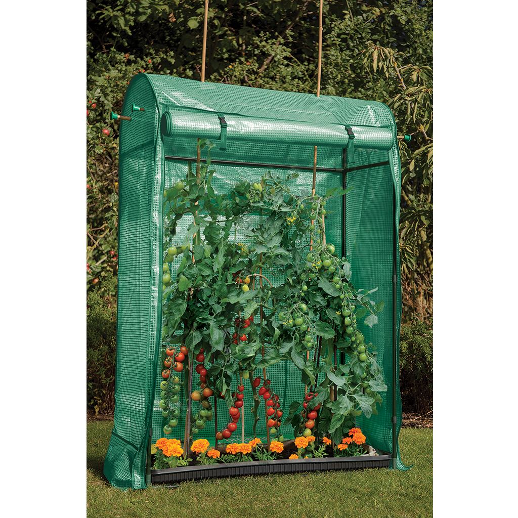 Grow It Premium Tomato Growhouse Greenhouse 150cm x 100cm eBay